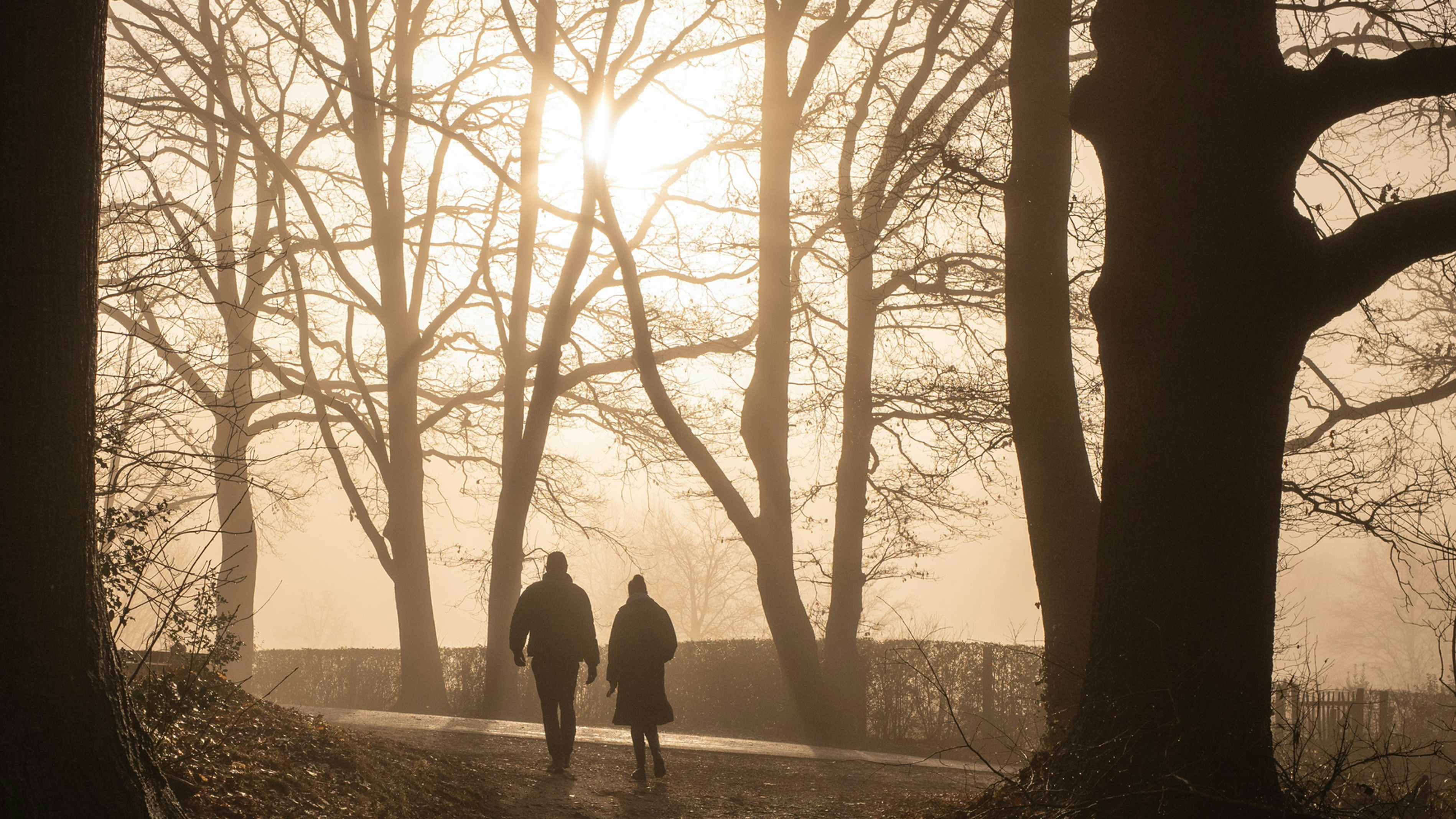 Two people walking side by side on a path in a forest.