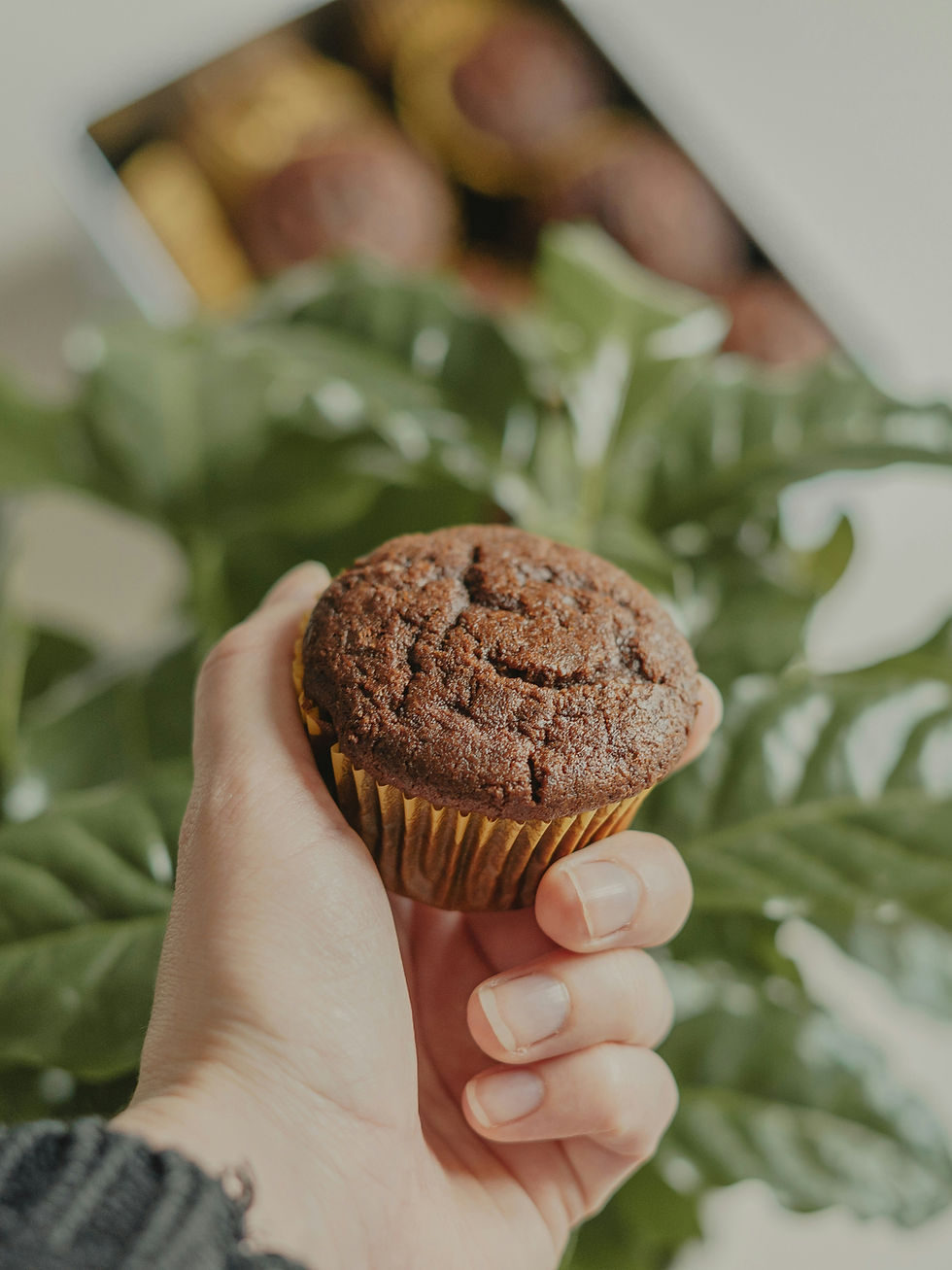 Hand holding a muffin