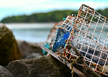 Image by Sean Quillen