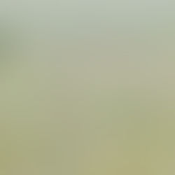 Navigating the College Admissions Journey: A Timeline for 2024-2025