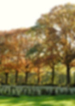 Cemeteries in sheffield - contact fair cost funerals