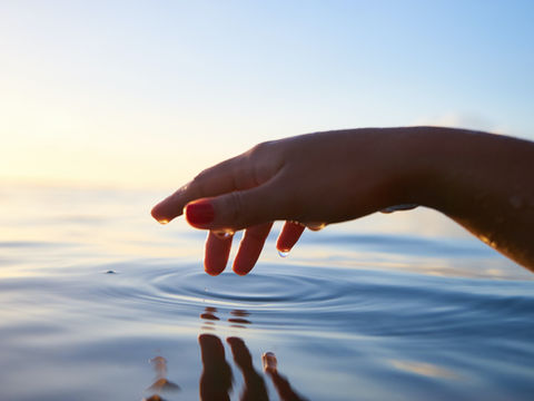 Nurturing Emotional Resilience: In Recovery