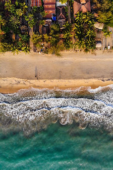 Image by Udara Karunarathna