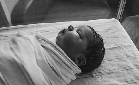 Newborn