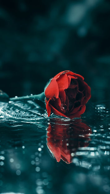 Image by Chinnu Indrakumar