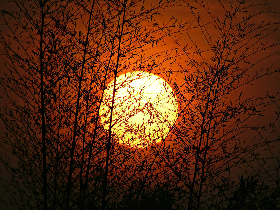 All Saints' Day, The Forgotten Holiday