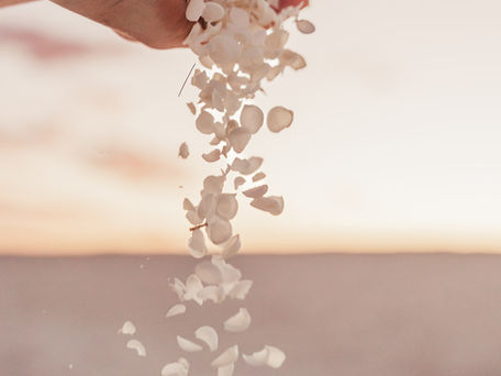 Hand releasing soft flower petals symbolizing releasing false responsibility, healing, self-compassion, and survivor restoration.
