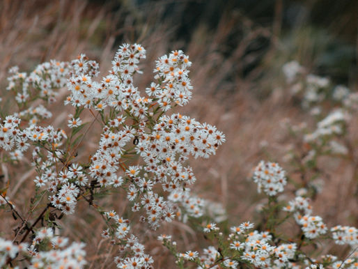 No 51 - What Is Spirituality?