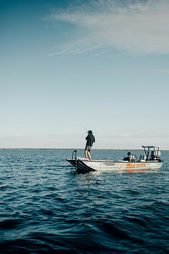 Image by Taylor Daugherty