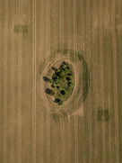 Image by Ryan Searle