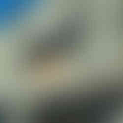 drop shipping on amazon