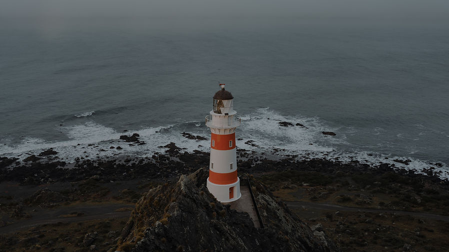 Image by Cameron Witney
