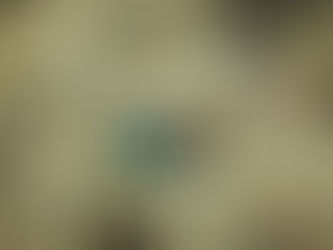 시를 잊은 성도에게 - 신문지 밥상 / 정일근