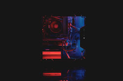 Image by Kyle Williamson