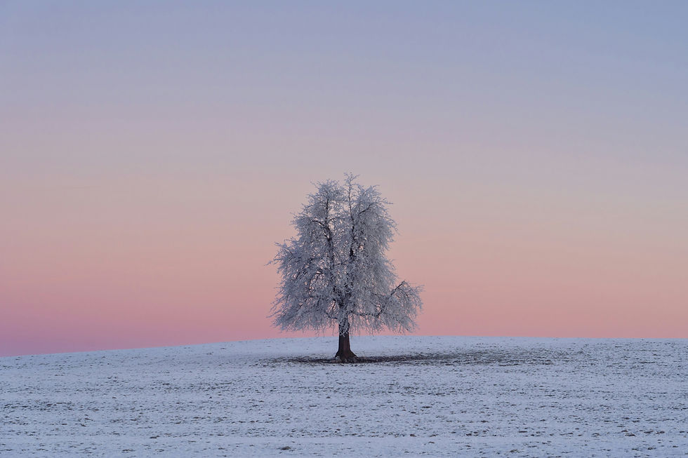 Image by Pascal Debrunner