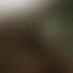 Aérer doucement avec une grelinette si nécessaire