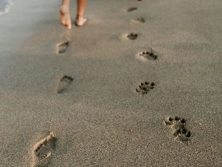 Understanding Grief After the Loss of a Pet