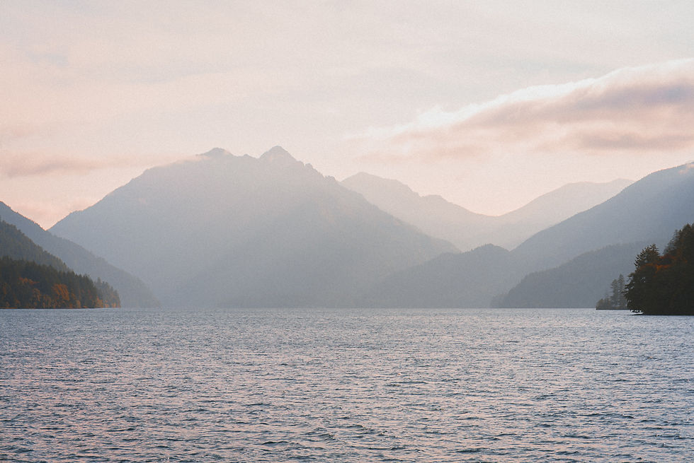 Image by Karsten Winegeart