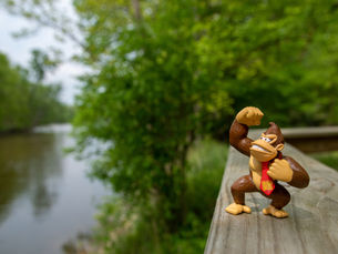 Donkey Kong Returns Home After 20 Years