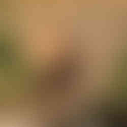 The ancient Grotto of Pan at Banias Nature Reserve, a popular historic site near the base of Mount Hermon.