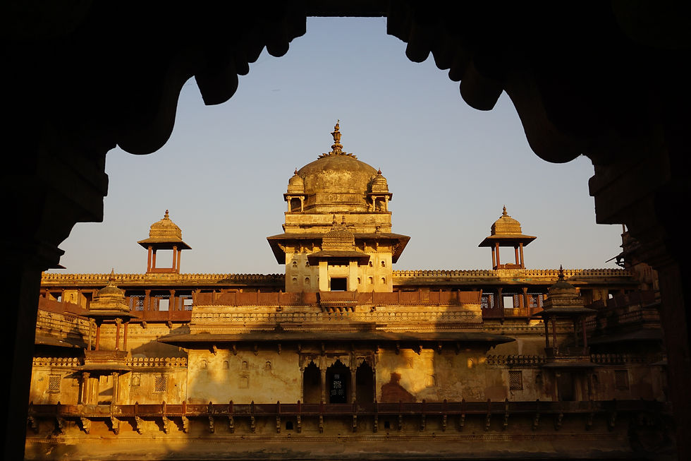 Image by Shruti Singh