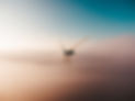 Image by Sander Weeteling