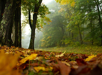 Image by Becky Winner