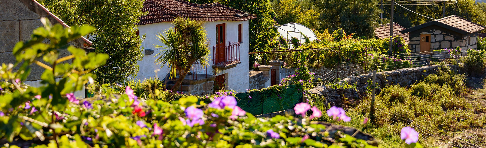 Image by Don Esteban