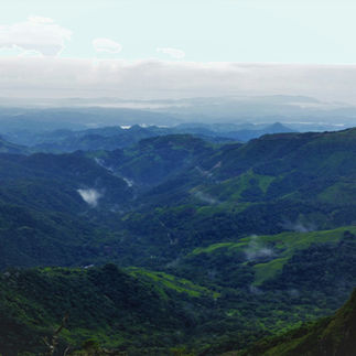 Monteverde