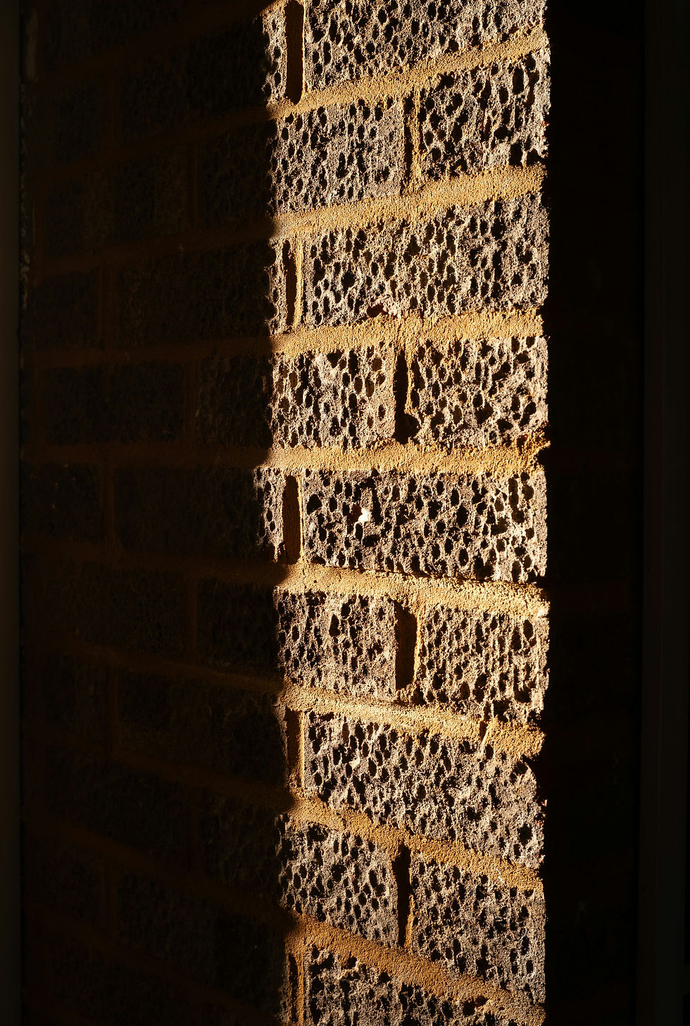 Wall Cavity Dehumidification White Glove Plumbing & Restoration