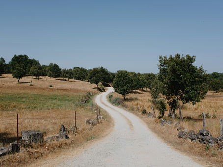 Terreno em Portugal