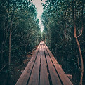 Bintan eco-recreation area with unique flora and fauna