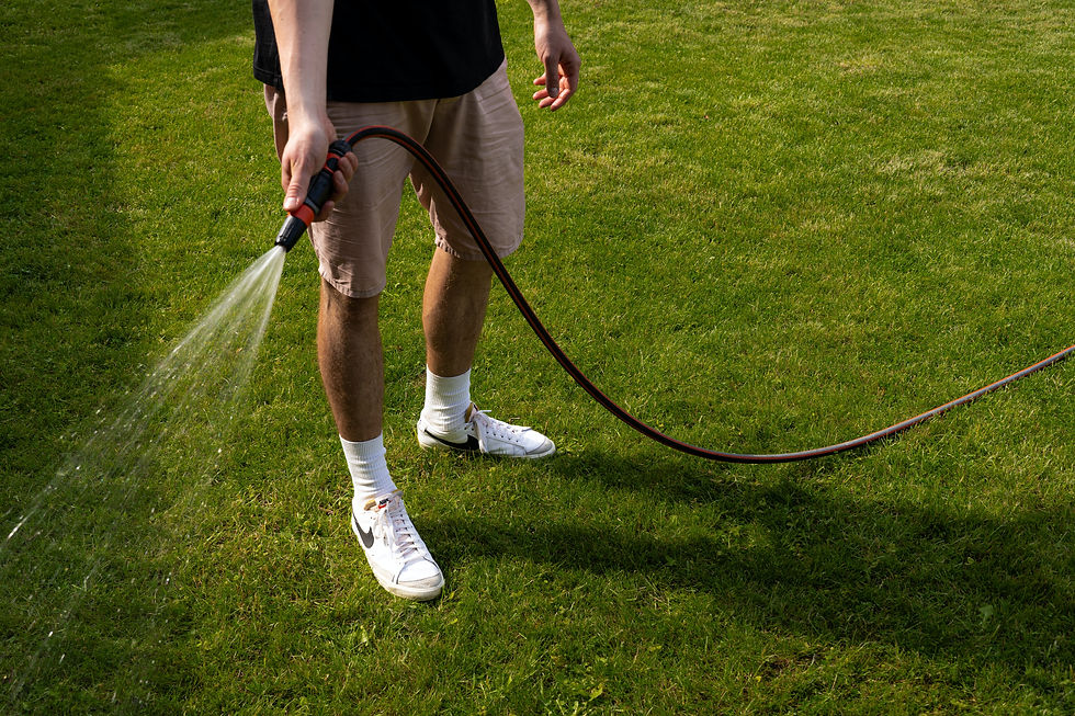 hosing the lawn watering garden