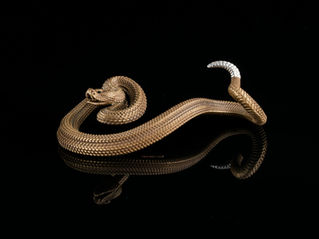 Shankara en de slang op het pad