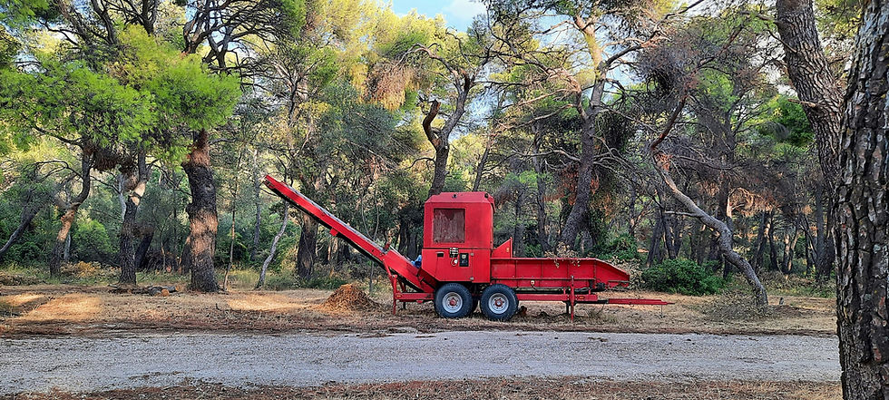 Stump grinding equipment working in a wooded area