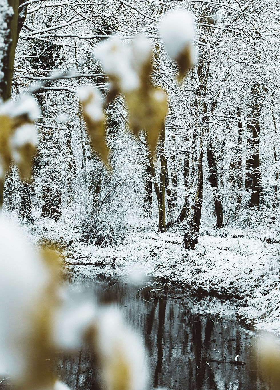 Snow and waiting