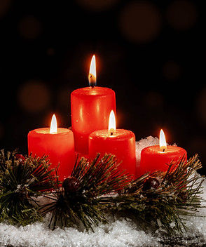 Image by Myriam Zilles