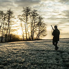 Image by Julian Hanslmaier