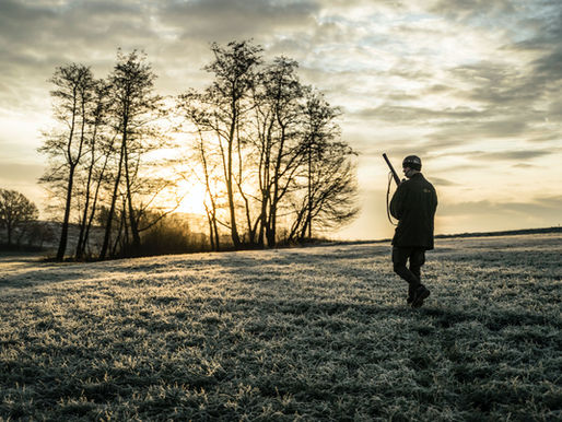 Hunter is out in the field