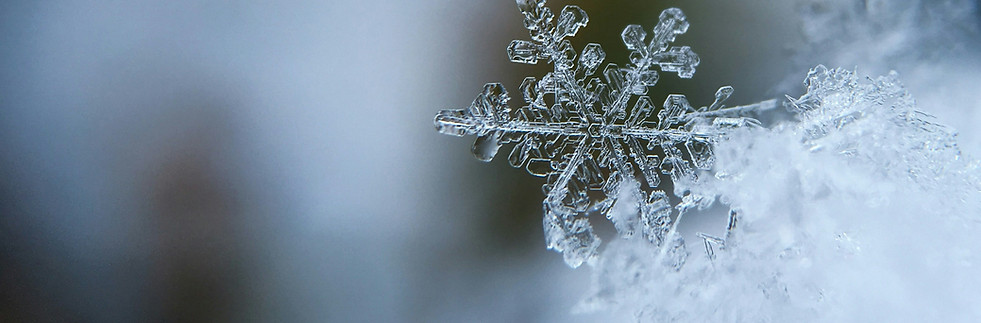 Image by Aaron Burden