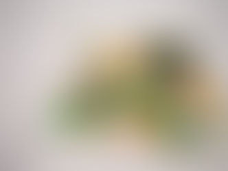 公式サイトがオープンしました！