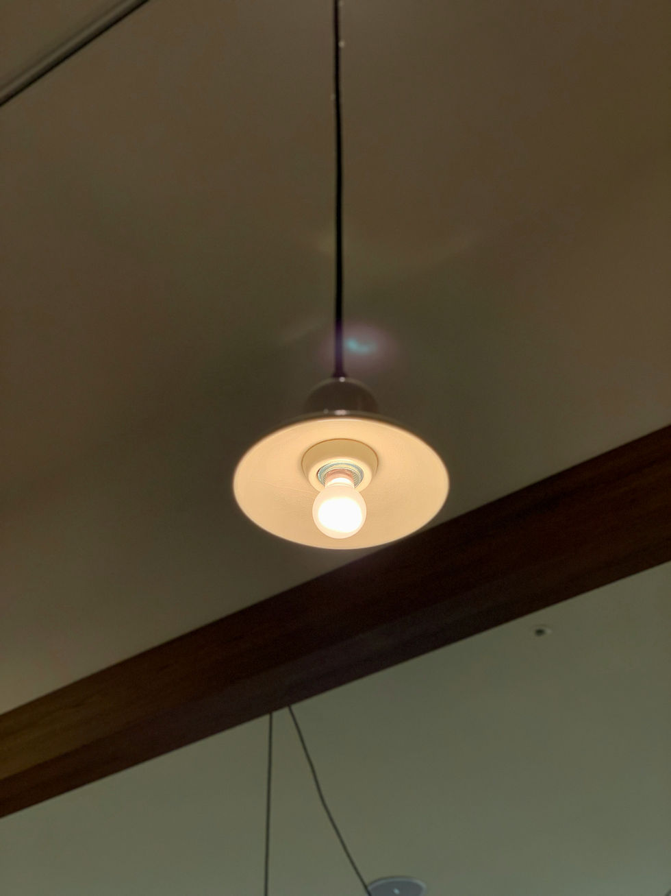 Electrical and Lighting Replacement White Glove Plumbing & Restoration 