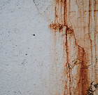 Image by Annie Spratt