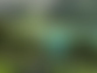 Foreningsrejse til Østrig for cykel- og motionsforeninger – 9 dage