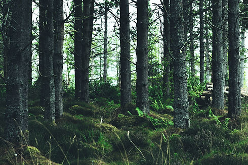 Image by Ma Ti