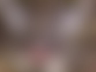 Another Possible Mountain Lion Sighting In Valentine