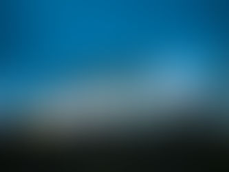 Grasshalm im gegenlicht waehrend des Sonnenuntergangs