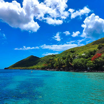 Image de Léopold de Reynal