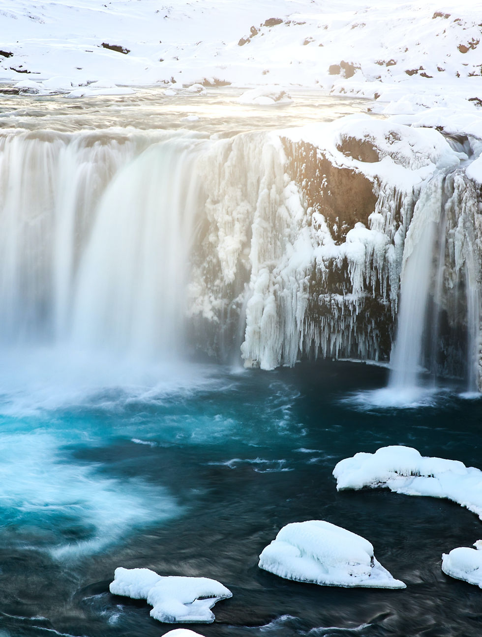 Image by Landon Arnold
