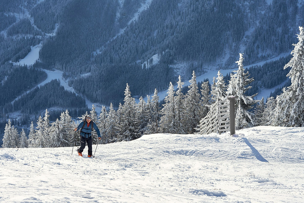 A winter adventurer surrounded by Austria's snow-covered alpine landscape